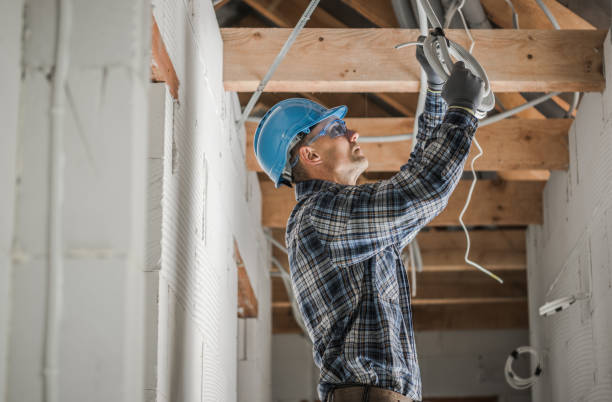 Best Electrician for Home Renovation  in Dixon, IL